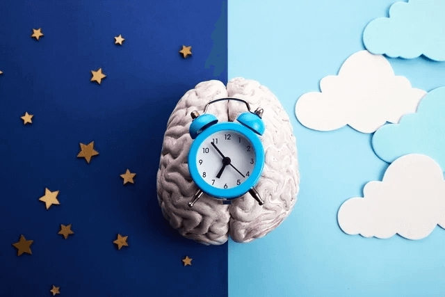 ¿Qué es el ritmo circadiano y cómo vigila el cuerpo las 24 horas?